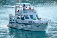 makarska kwatery prywatne izleti