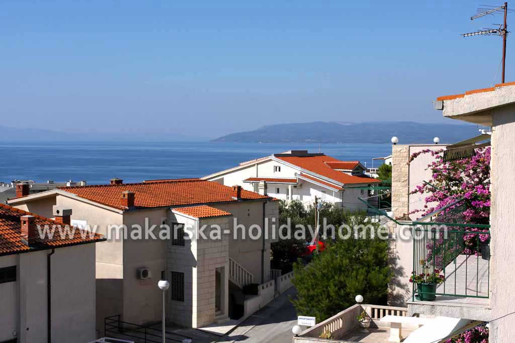 Terrace with sea view - Apartment Gina / 30