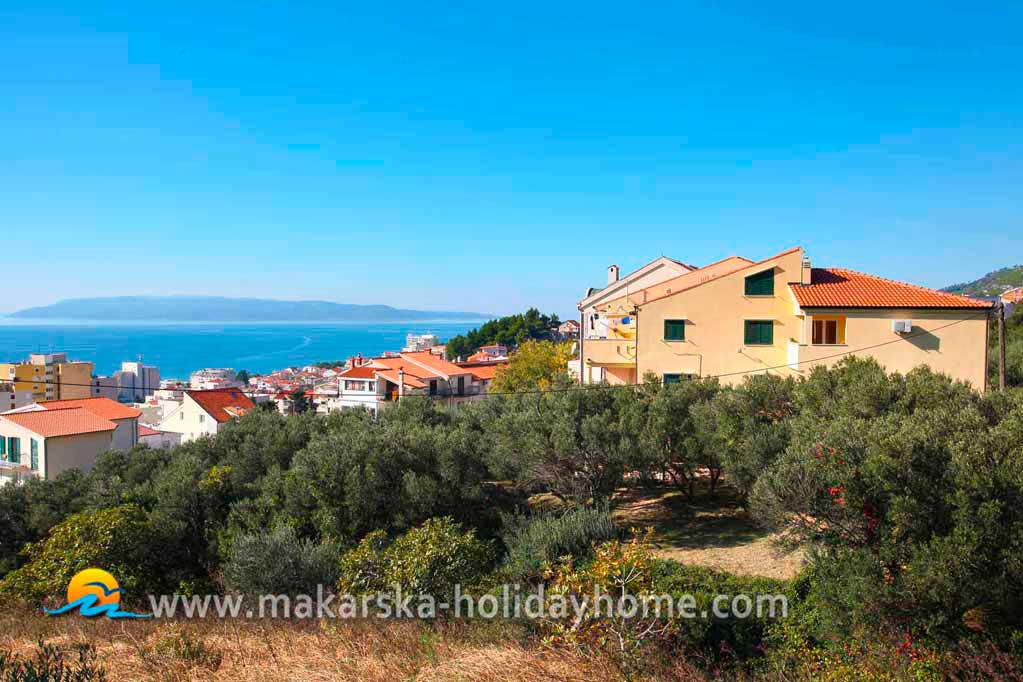 Rekreační apartmány v Makarské - Apartmán Jele / 01