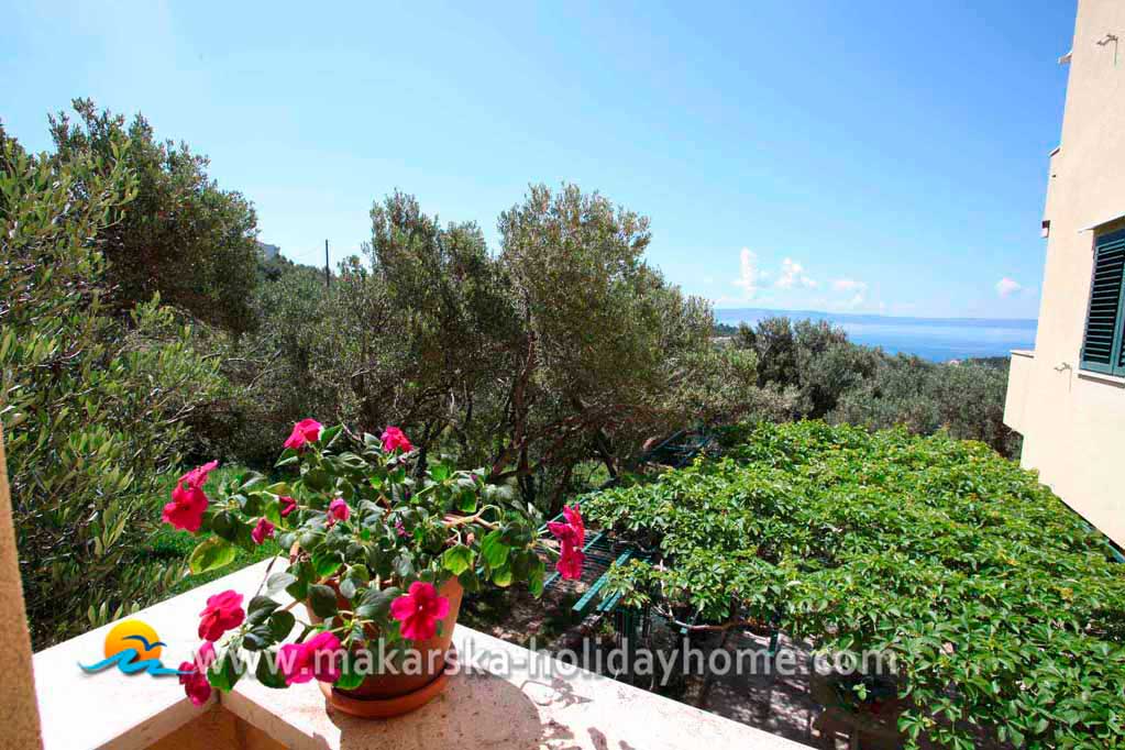 Výhled do zahrady - Apartmán Jele / 21