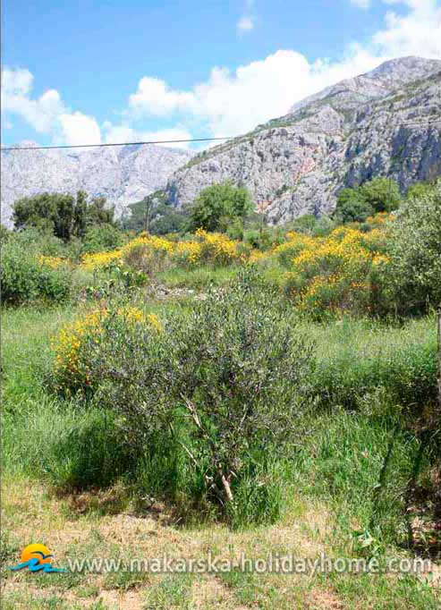 Horský výhled - Apartmán Jele / 32