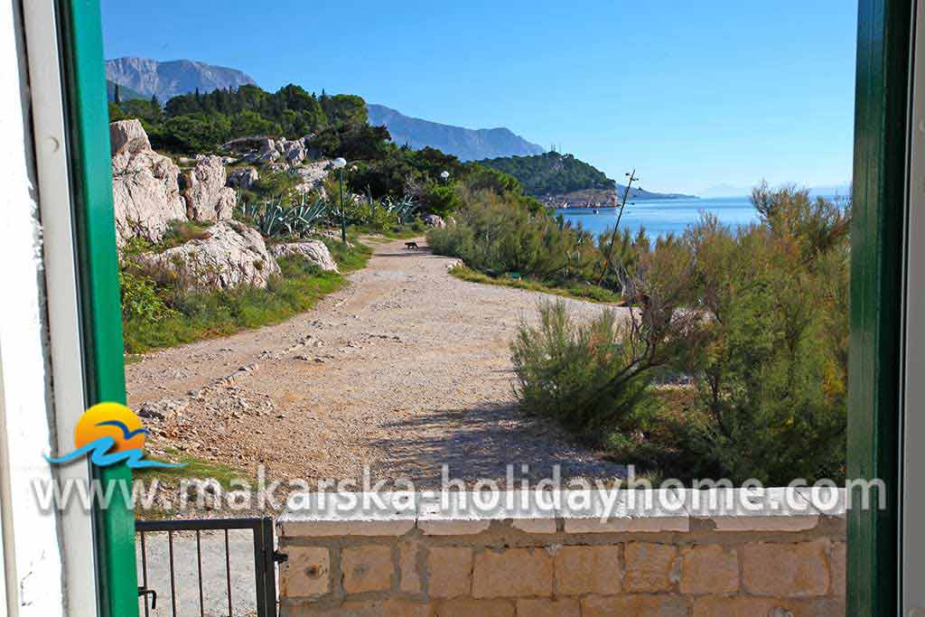 Utsikt over parken - Fyr St. Peter / 21