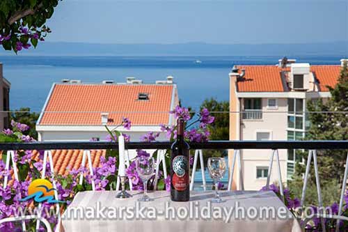 Apartameny Makarska Chorwacja, Apartament Ankica A1