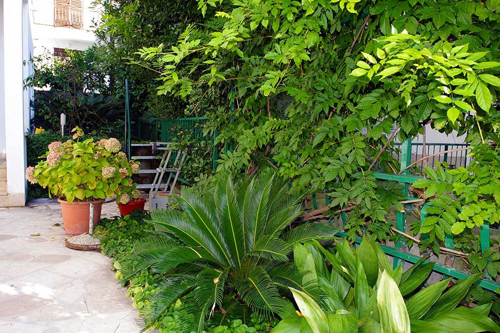 Garten, Ferienwohnung in Makarska, Ferienwohnung Vanda A2 / 05