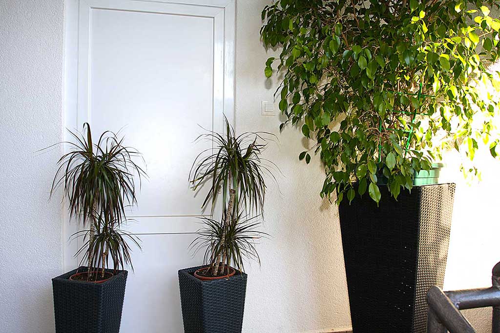 Taras, Rezerwować Makarska, Apartament Bruno A1 / 12