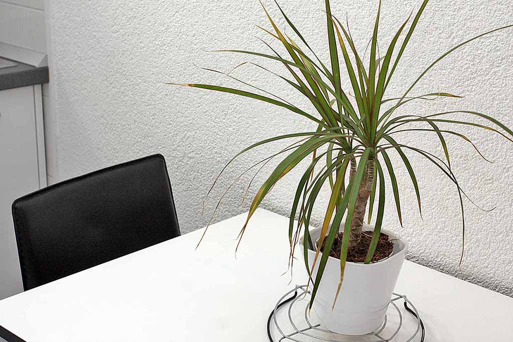 Privatni smještaj Makarska, Apartman Bruno A5 / 04