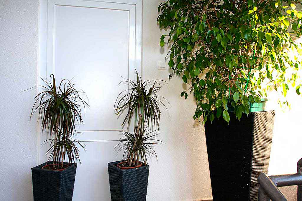 Terasa, Apartman Bruno A5 / 11