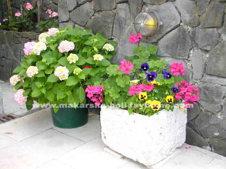 Urlaub Podgora Kroatien - Ferienwohnung Damjan A1 / 18