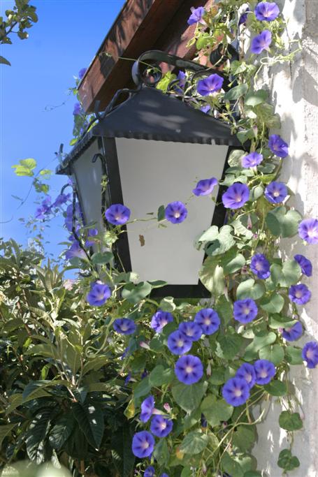 Makarska Kroatien - Ferienhaus mit Pool - Villa ART / 39