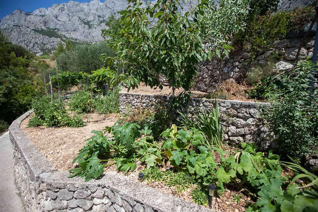 Makarska villa with Pool for 5 persons - Villa Daniela / 30