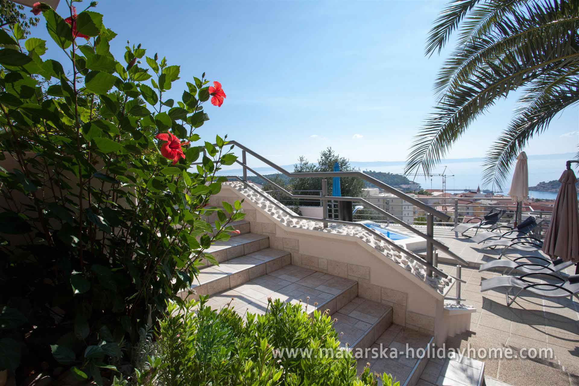 Makarska riviera - Villas with Pool - Villa Ivo / 17