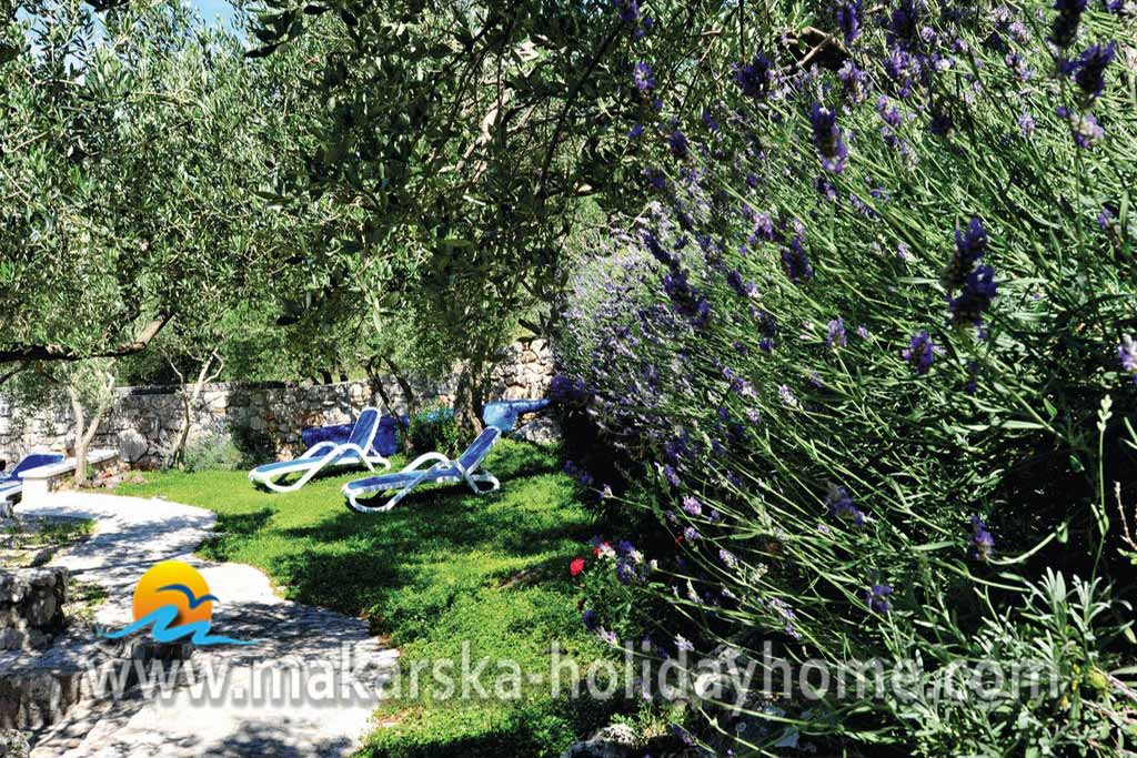 Croatia private villa with Pool - Makarska  - Villa Mlinice / 21
