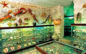 Makarska Shell Museum