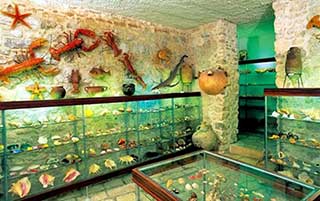 Malakologické muzeum Makarska