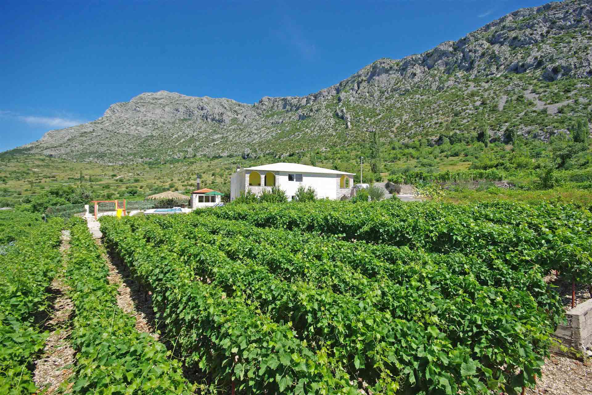 Makarska riviera - Ferienhaus mit pool - Villa Zavojane / 04