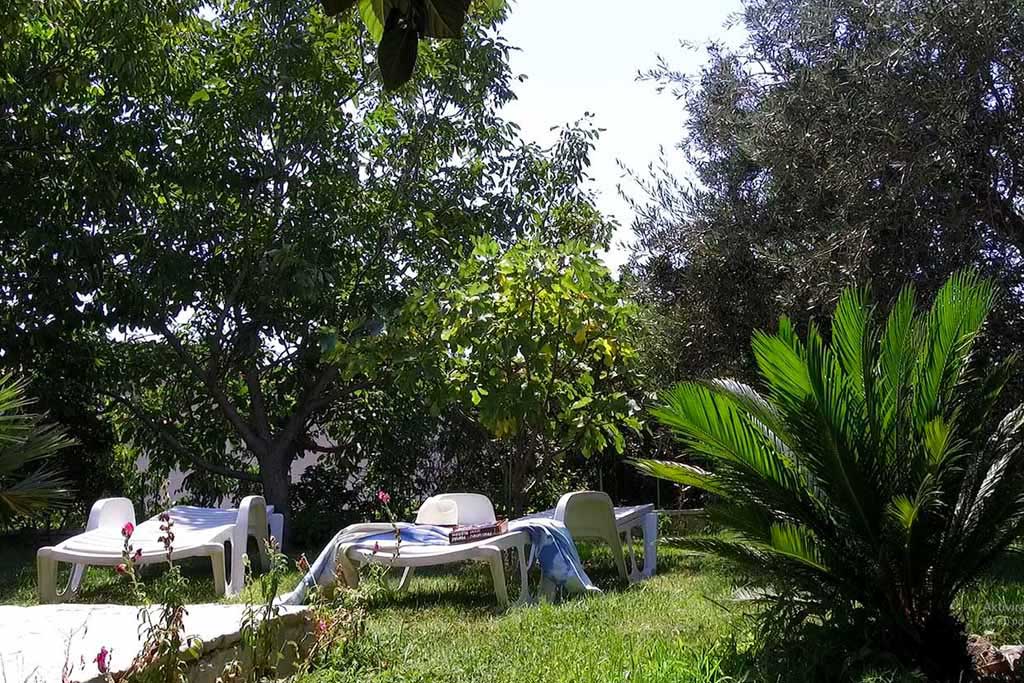 Oasis de verdure au centre ville - Villa Art / 19