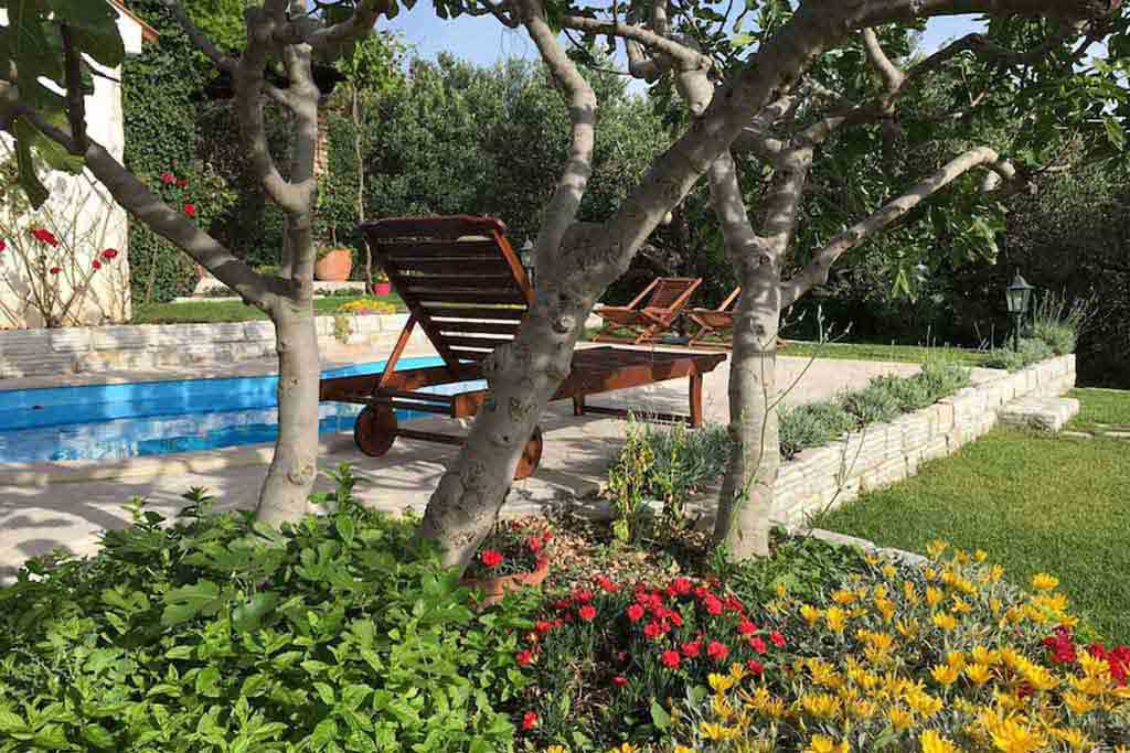 Villa Makarska for 4 persons - Villa Dragan / 11