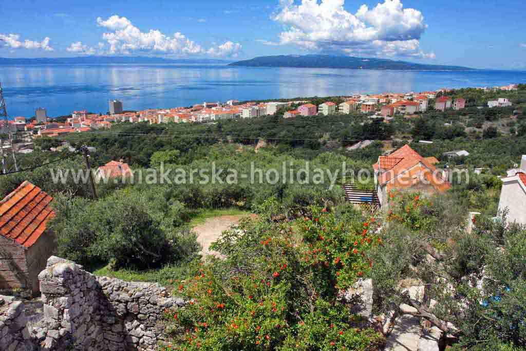 Villa Makarska v obci - Villa Dragan / 40