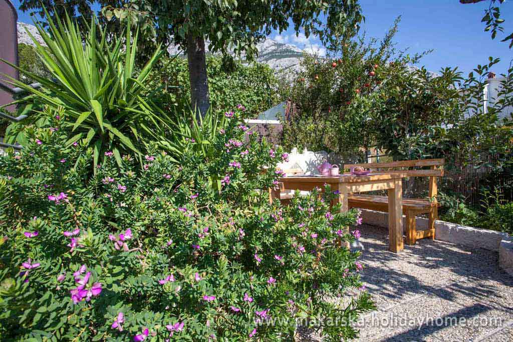 Vila Makarska, terasa na zahradě - Villa Ivo / 10