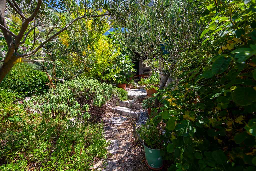 Vila se zahradou - Villa Matea / 07