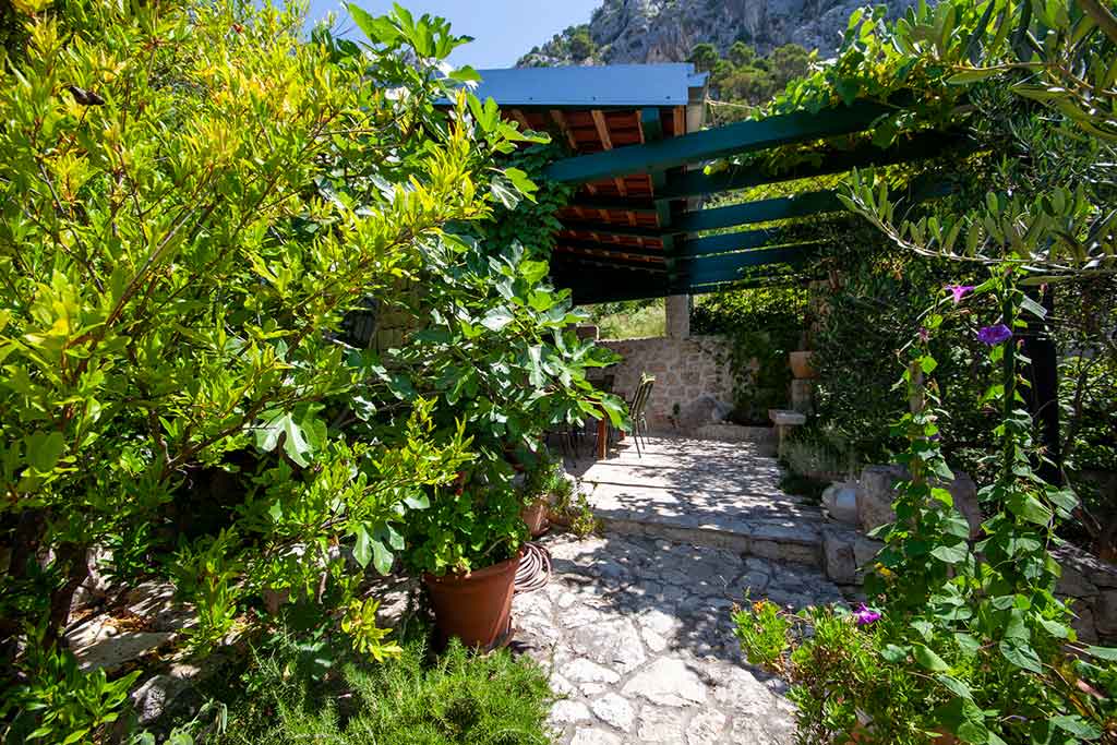 Relaxační zahrada - Villa Matea / 08