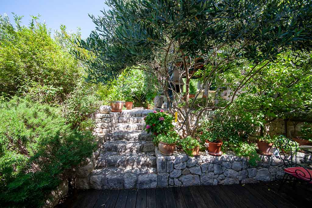 Středomořské aromatické byliny - Villa Matea / 20