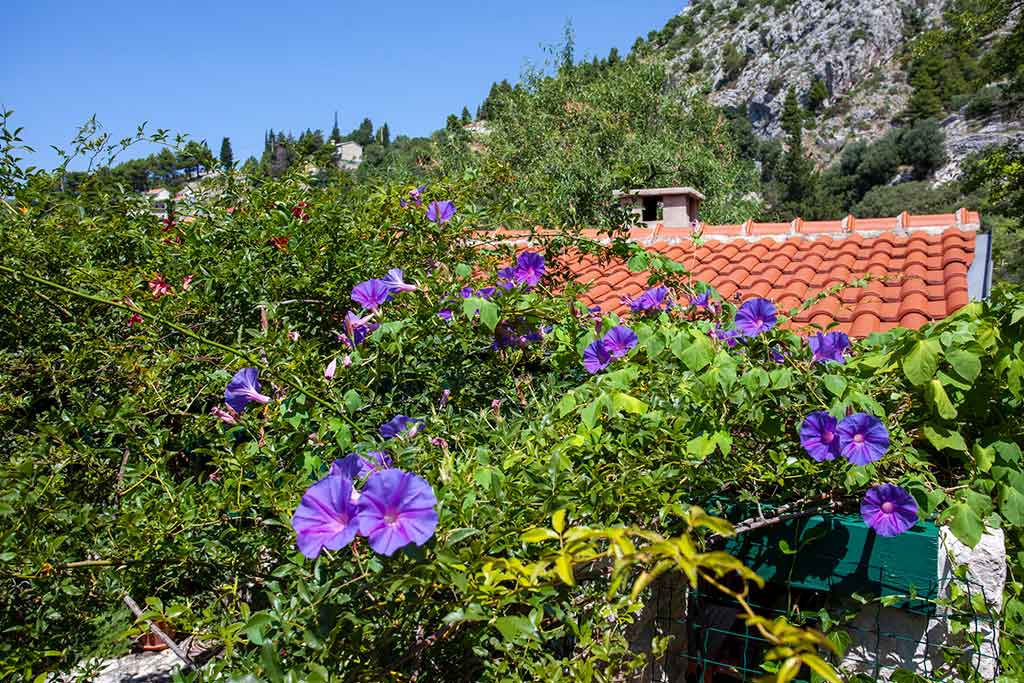 Vila obklopená přírodou - Villa Matea / 21