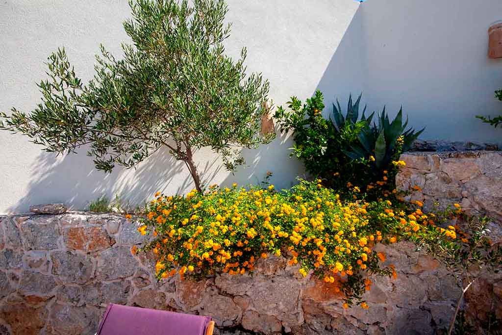 Domki Podgora - Villa Dani / 15