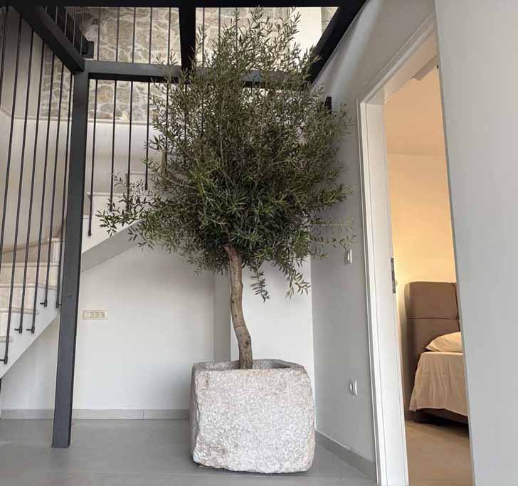 Makarska riviera Kroatien - Villa Marena / 24