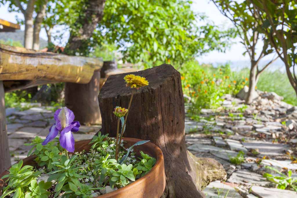 Beautiful Dalmatian ambiance - Villa Ljubo / 15